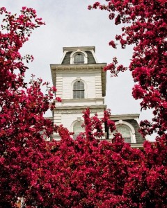 Vermont College of Fine Arts